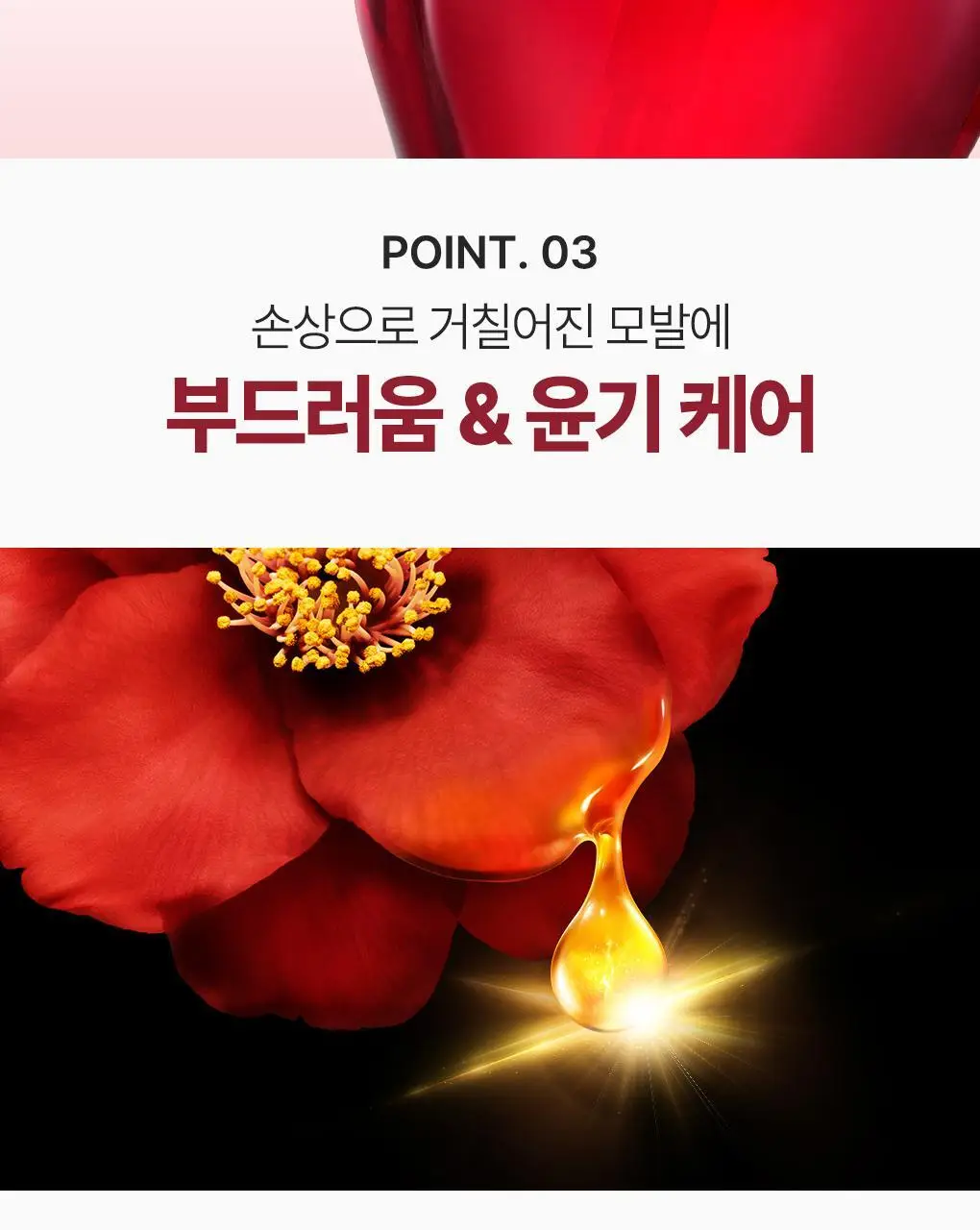 [까멜리아 헤어오일] 츠바키 오일 포스 엠 60ml 상세페이지 12
